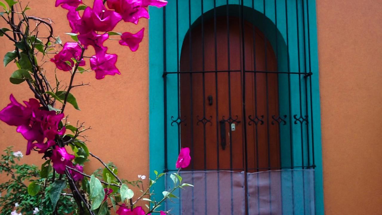 Casa Frida B&B Oaxaca Exteriör bild