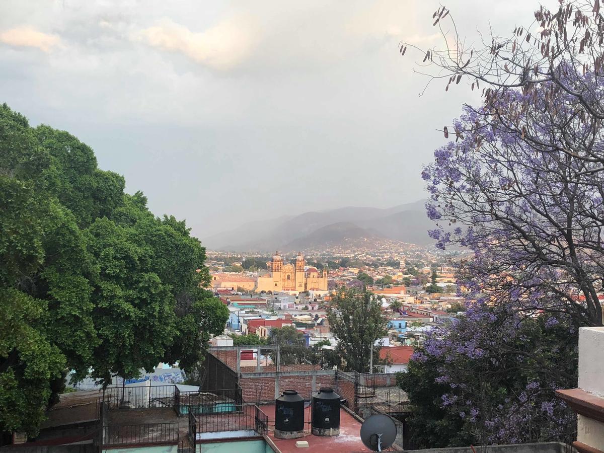 Casa Frida B&B Oaxaca Exteriör bild